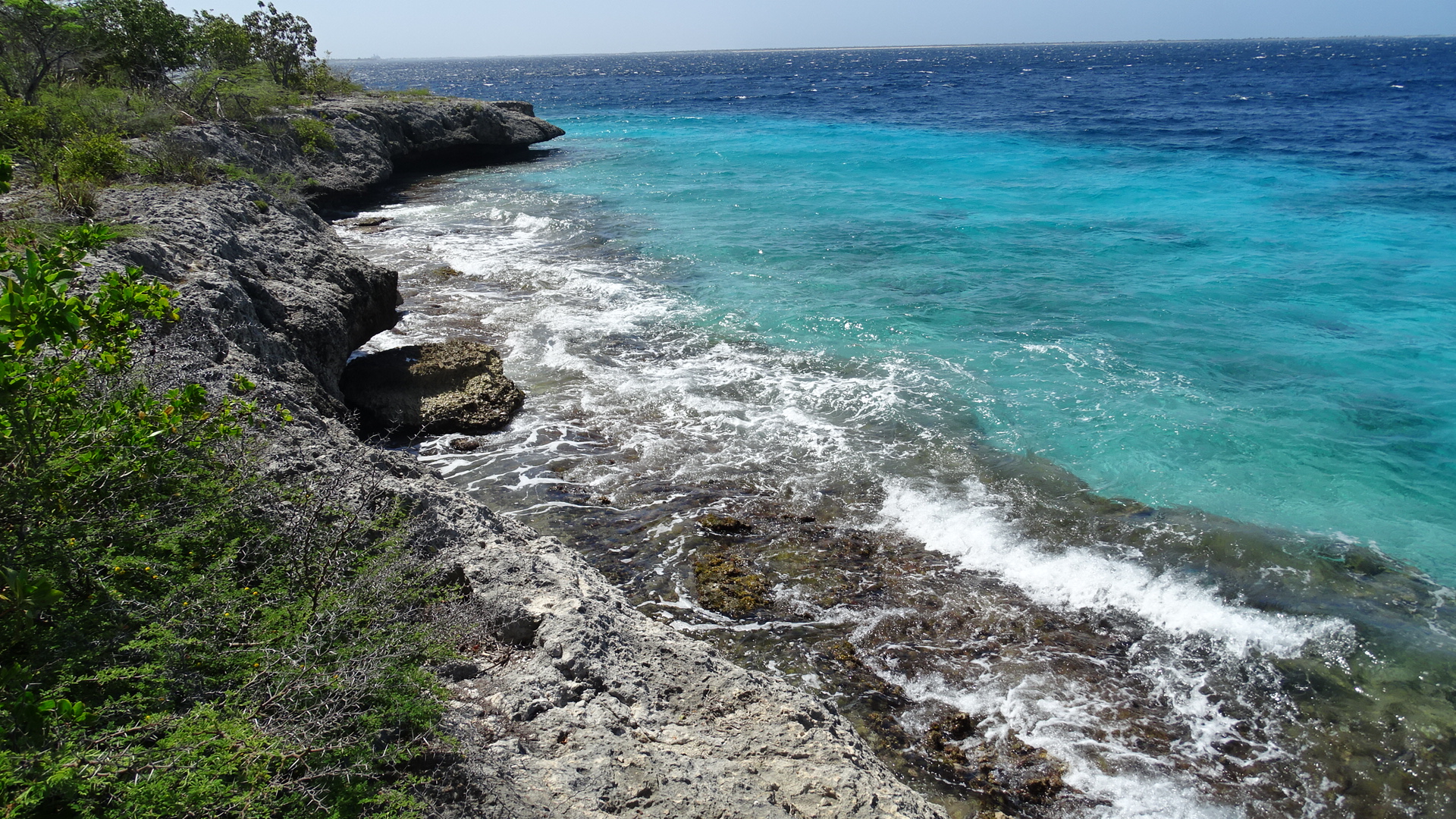 Bonaire 2018 -  4
