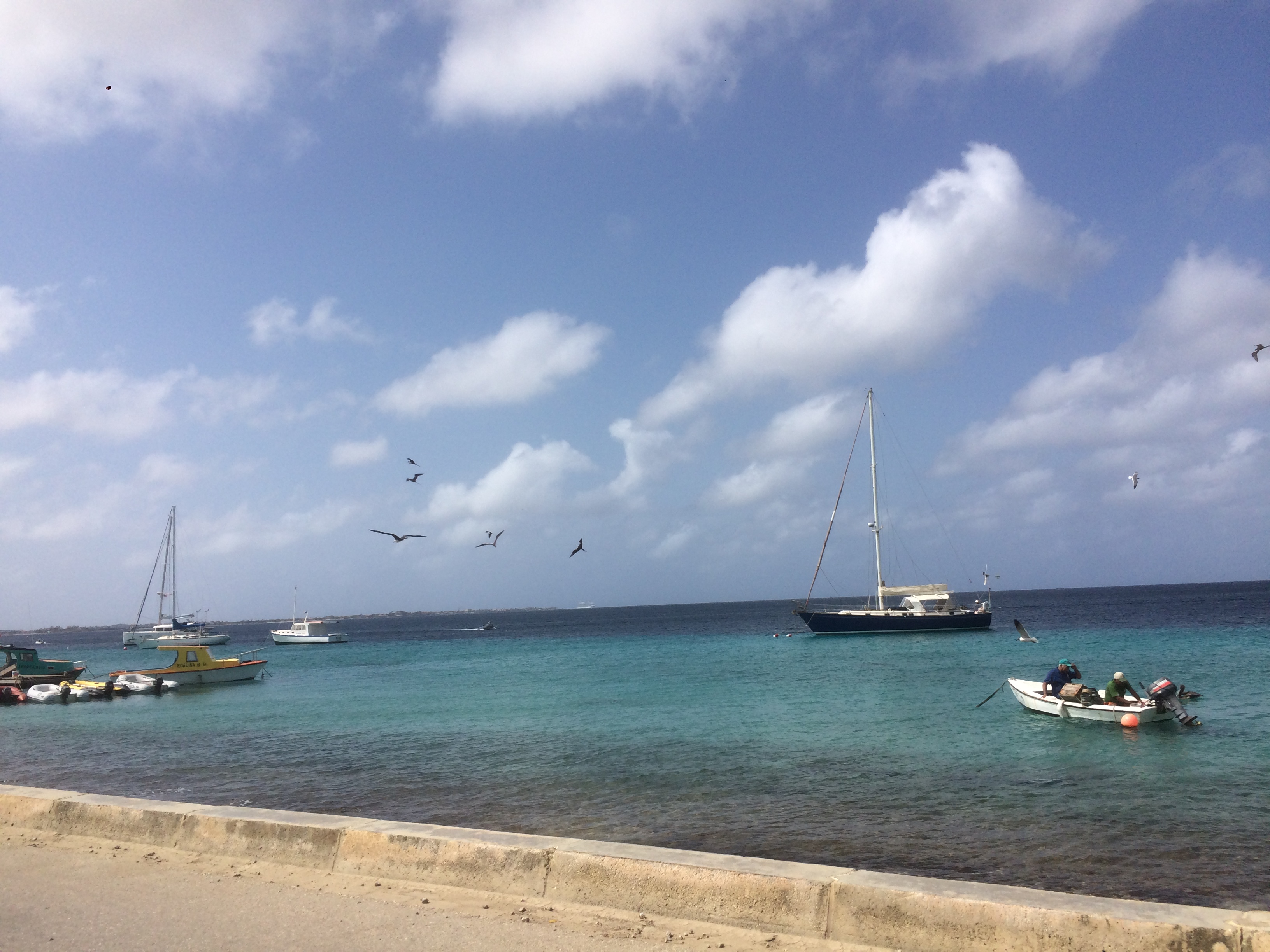 Bonaire 2018 - 52