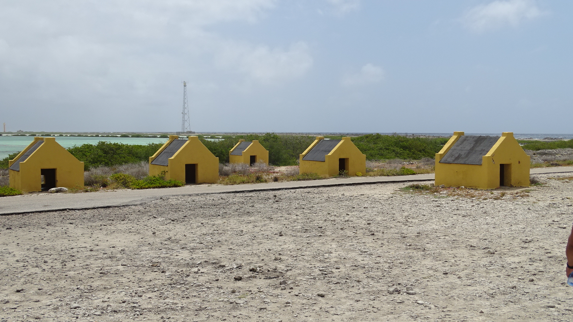 Bonaire 2018 - 60