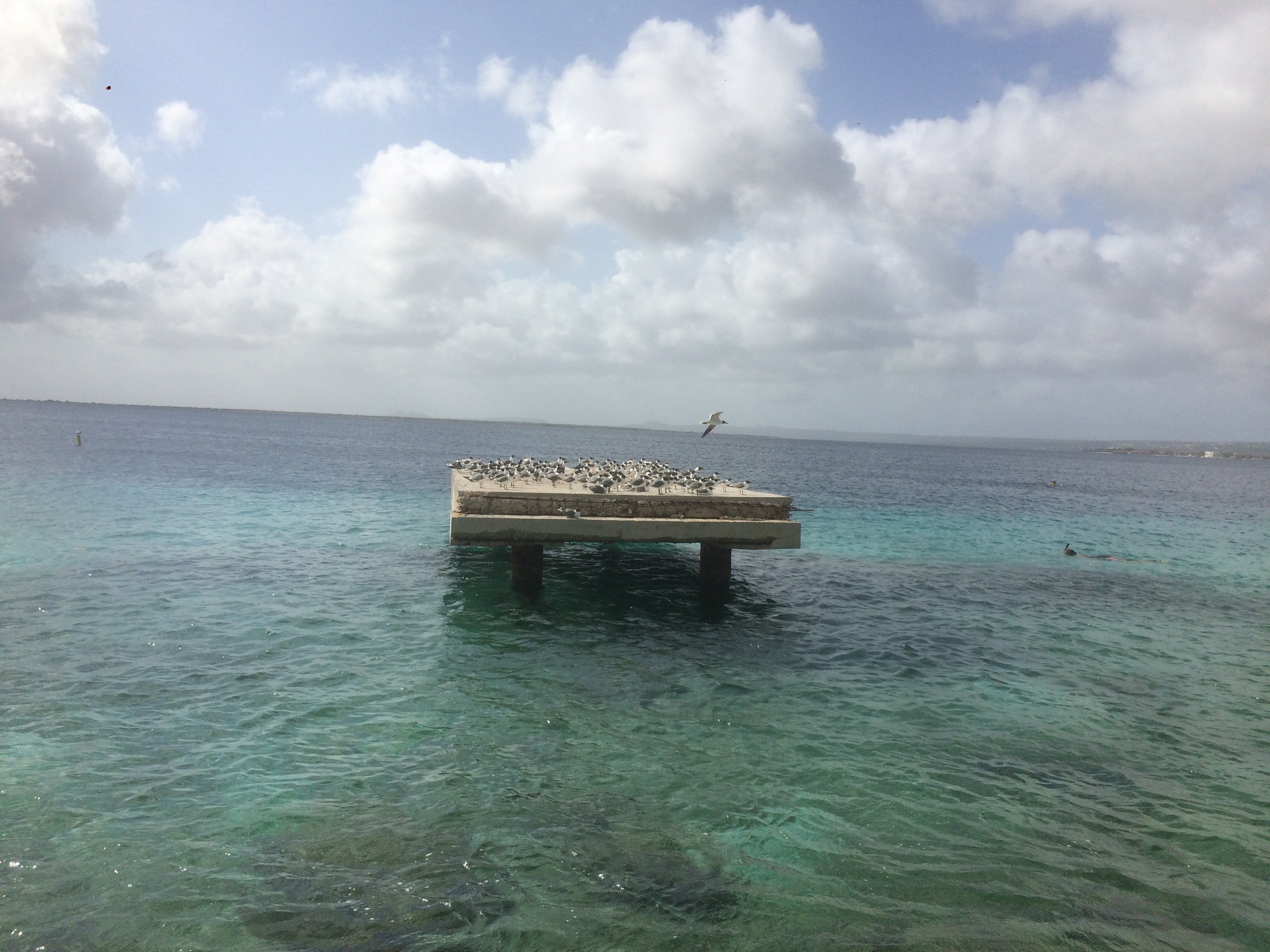 Bonaire 2018 - 113