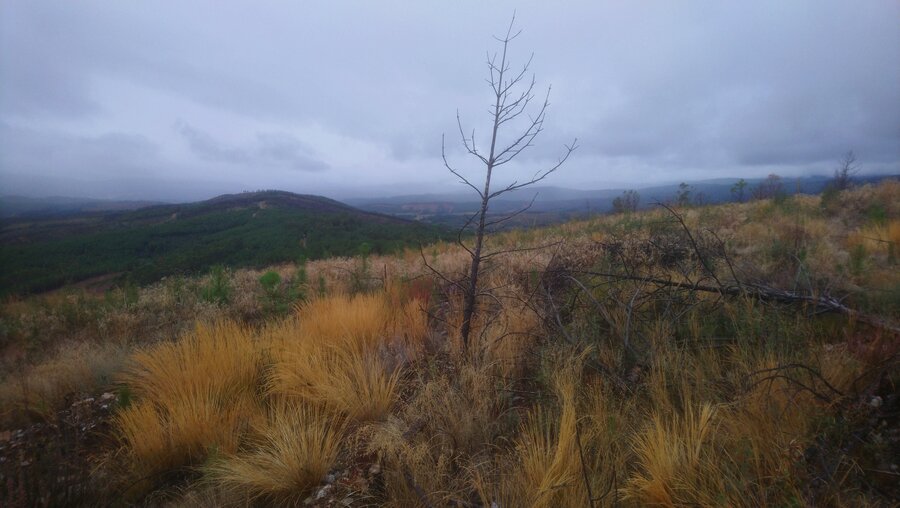 Herfst in Portugal en Spanje 2019 - 0129