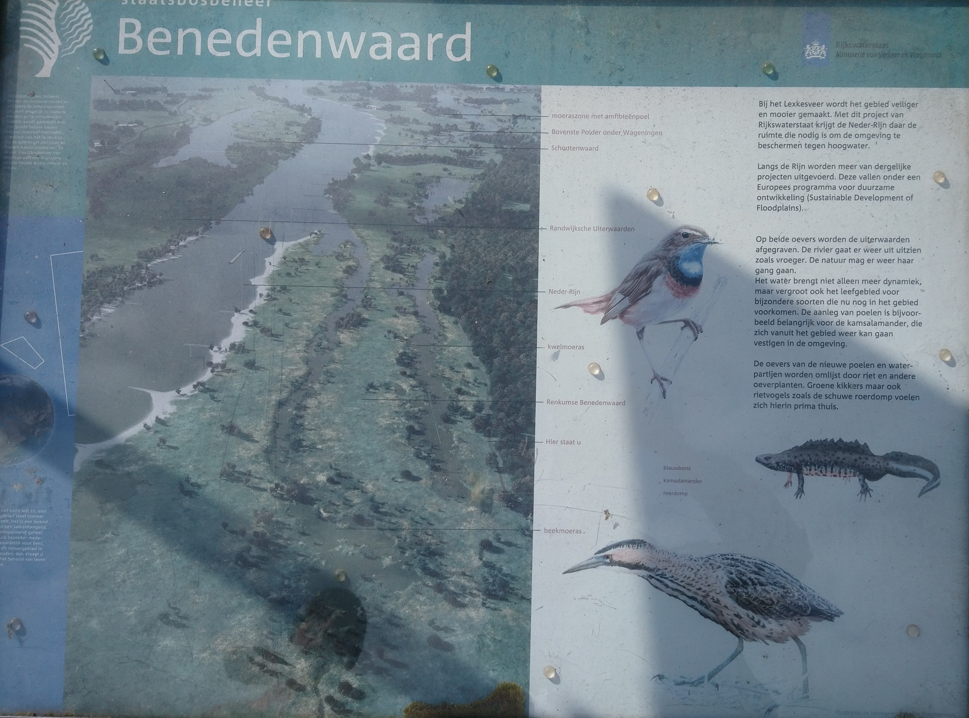 2021-Wageningse Eng 0027